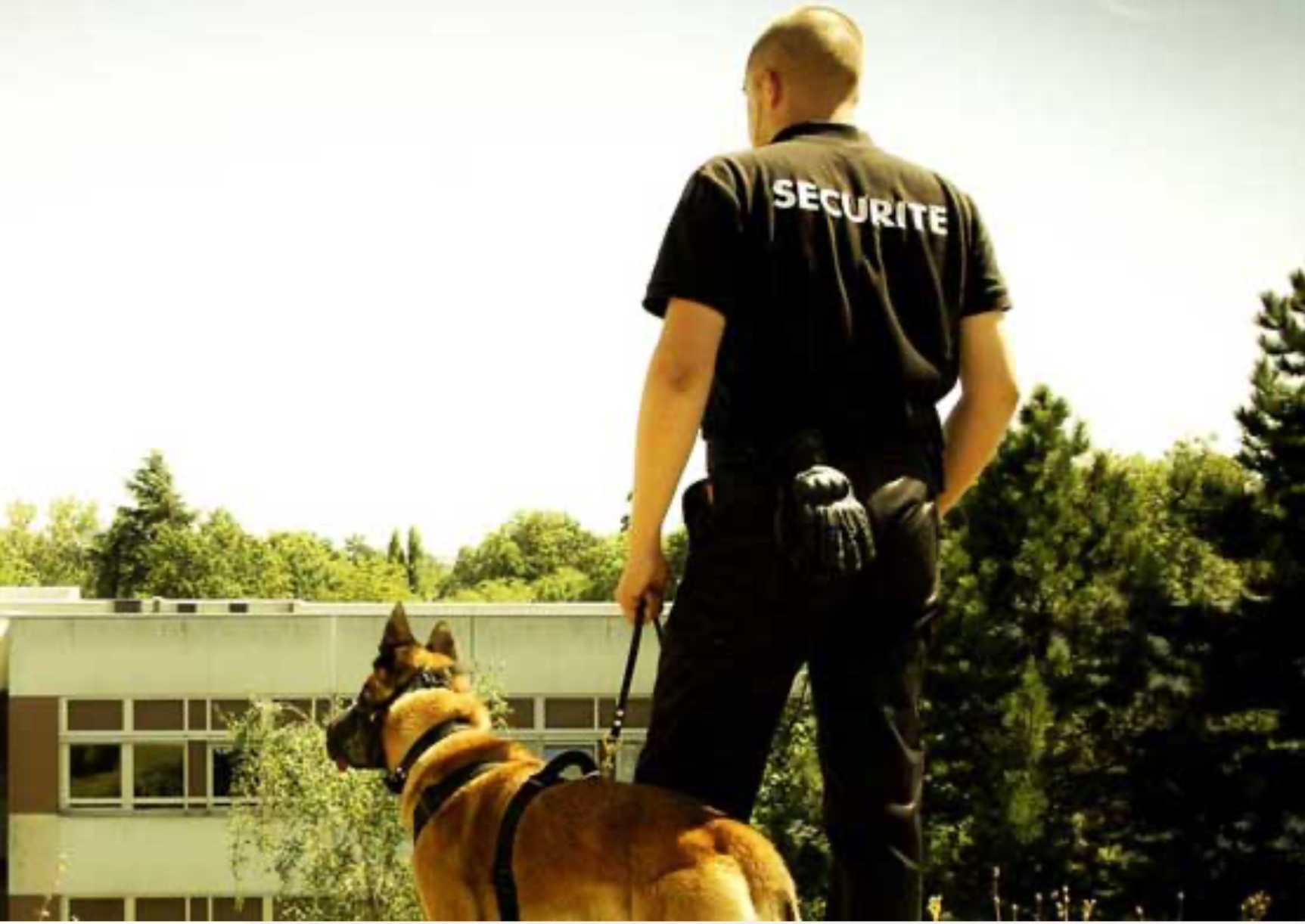 Level Securite